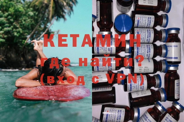прущие грибы Дмитровск