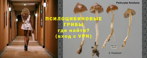mix Гусиноозёрск