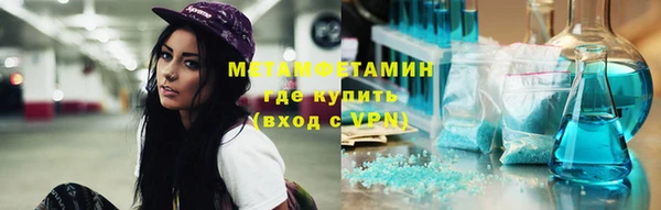 прущие грибы Дмитровск