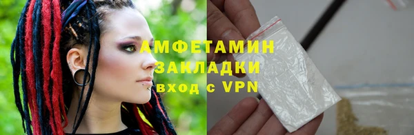 прущие грибы Дмитровск