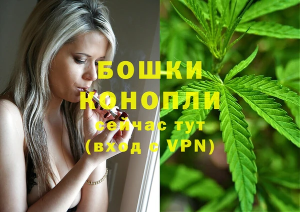 прущая мука Дмитриев