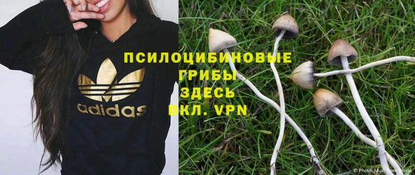mix Гусиноозёрск