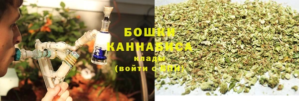 прущие грибы Дмитровск