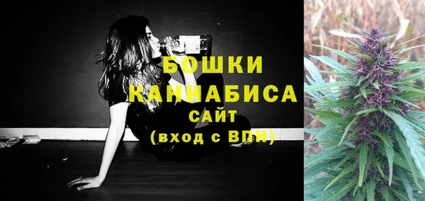 стаф Елизово