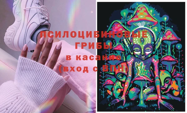 2c-b Гусь-Хрустальный