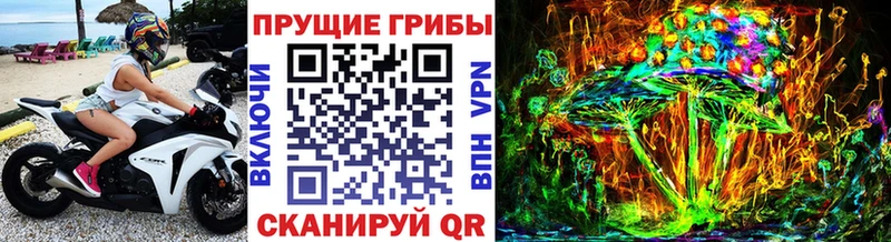 Псилоцибиновые грибы Psilocybine cubensis  mega онион  Гвардейск 