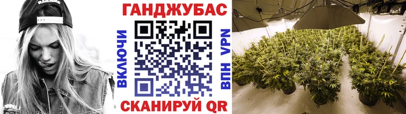 Шишки марихуана Amnesia  это состав  Гвардейск 